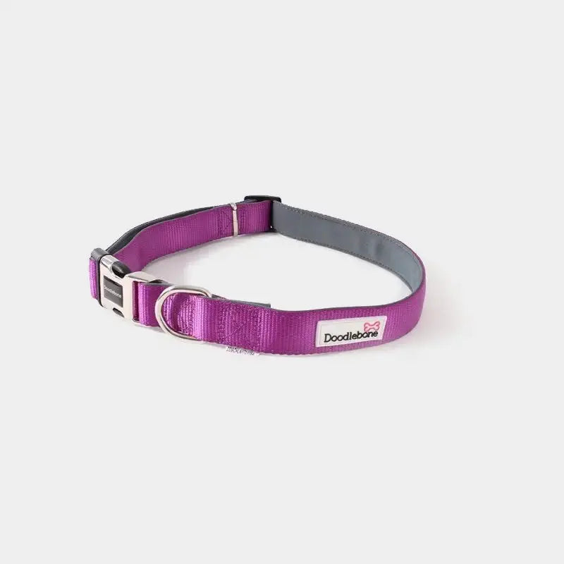 Collier chien Doodlebone
