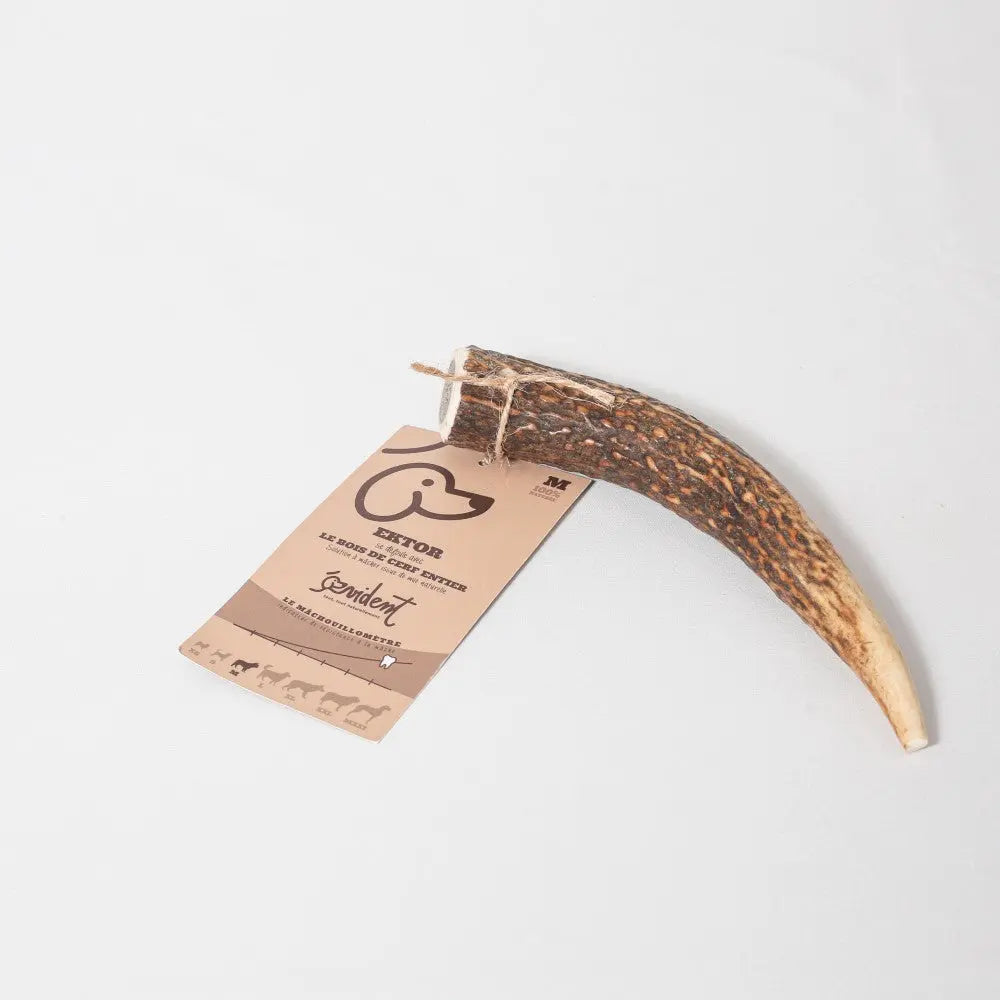 Bois de cerf à mâcher pour chien