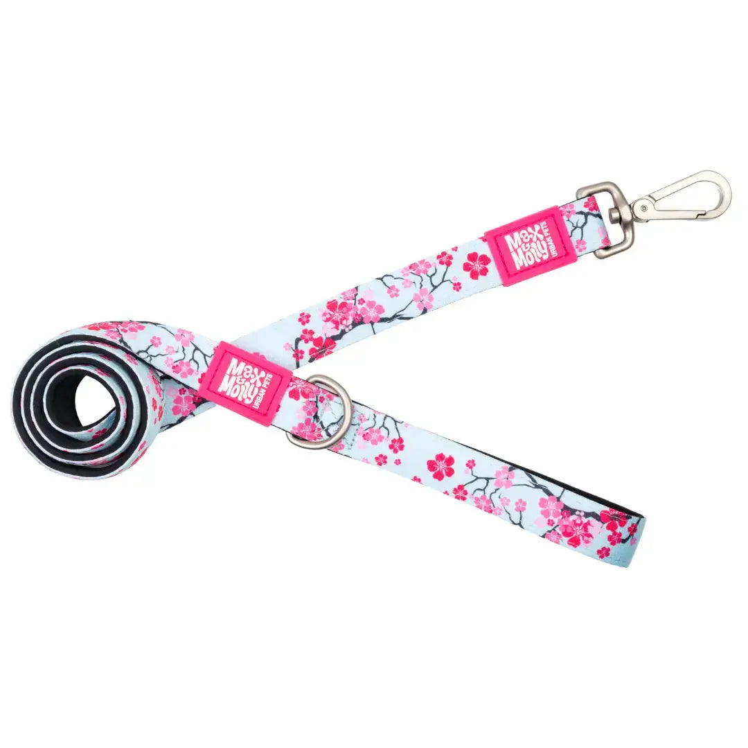 Laisse Cherry Bloom Max & Molly