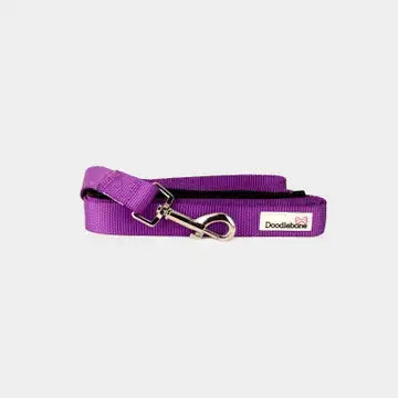 Laisse rembourrée Doodlebone
