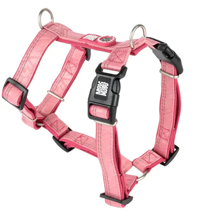 Harnais H Rose Max & Molly Zoopet Shop
