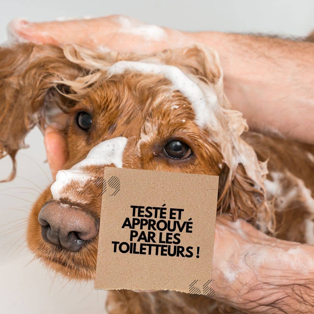 Shampoing hypoallergénique 250 ml PURALIA UKAL GREEN