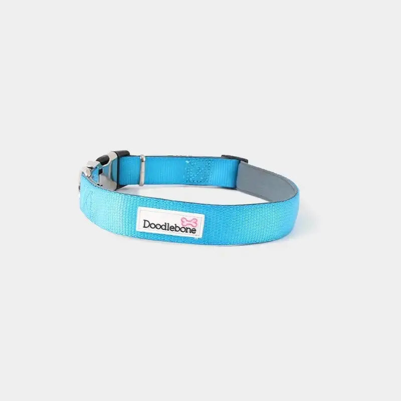 Collier chien Doodlebone