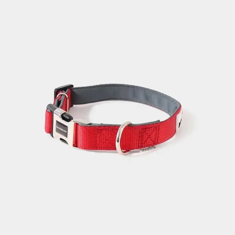 Collier chien Doodlebone