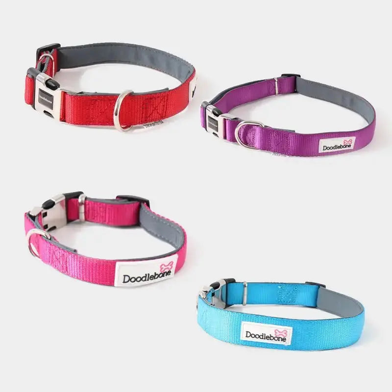 Collier chien Doodlebone
