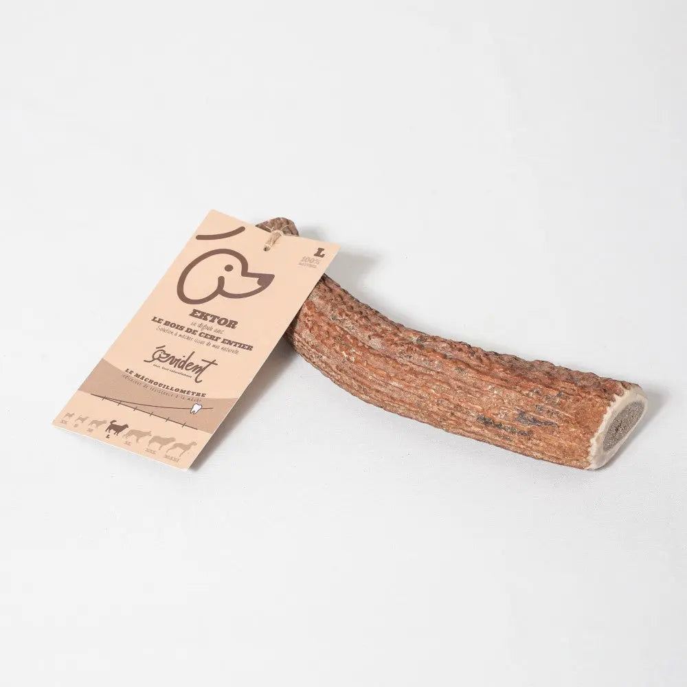 Bois de cerf à mâcher pour chien