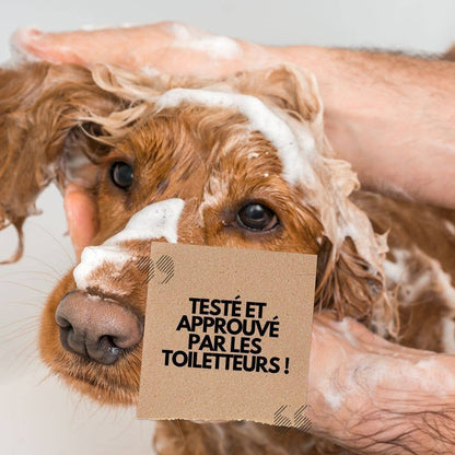 Shampoing tout pelage 250 ml PURALIA UKAL GREEN