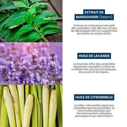 5 pipettes répulsives Spot-on 1 ml PURALIA UKAL GREEN