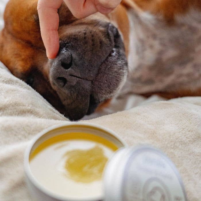 Baume truffe et coussinets 50 ml PURALIA UKAL GREEN