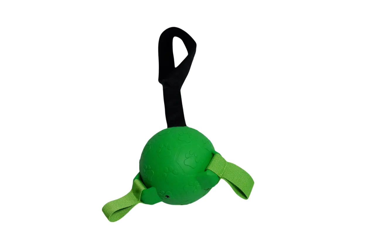 Ballon de jeu pour chien avec lance