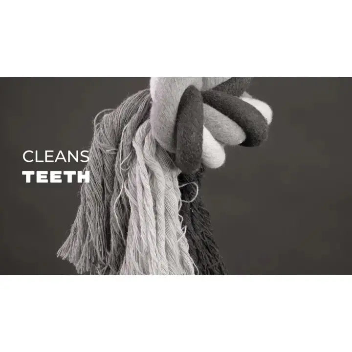 Corde dentaire 30 cm Zoopet Shop