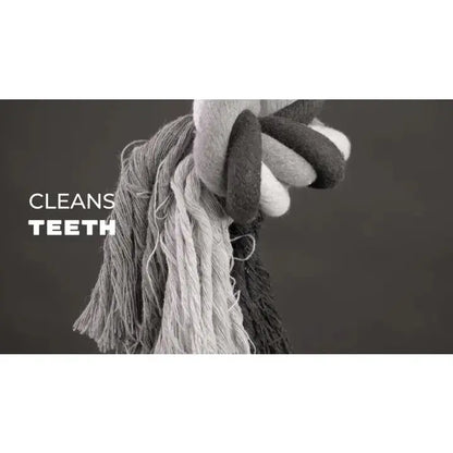 Corde dentaire 30 cm Zoopet Shop