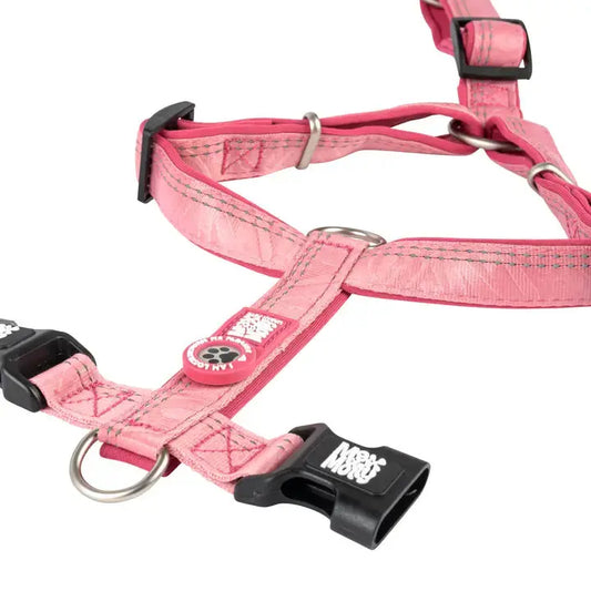 Harnais H Rose Max & Molly Zoopet Shop
